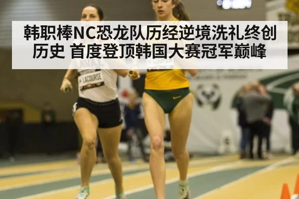 韩职棒NC恐龙队历经逆境洗礼终创历史 首度登顶韩国大赛冠军巅峰
